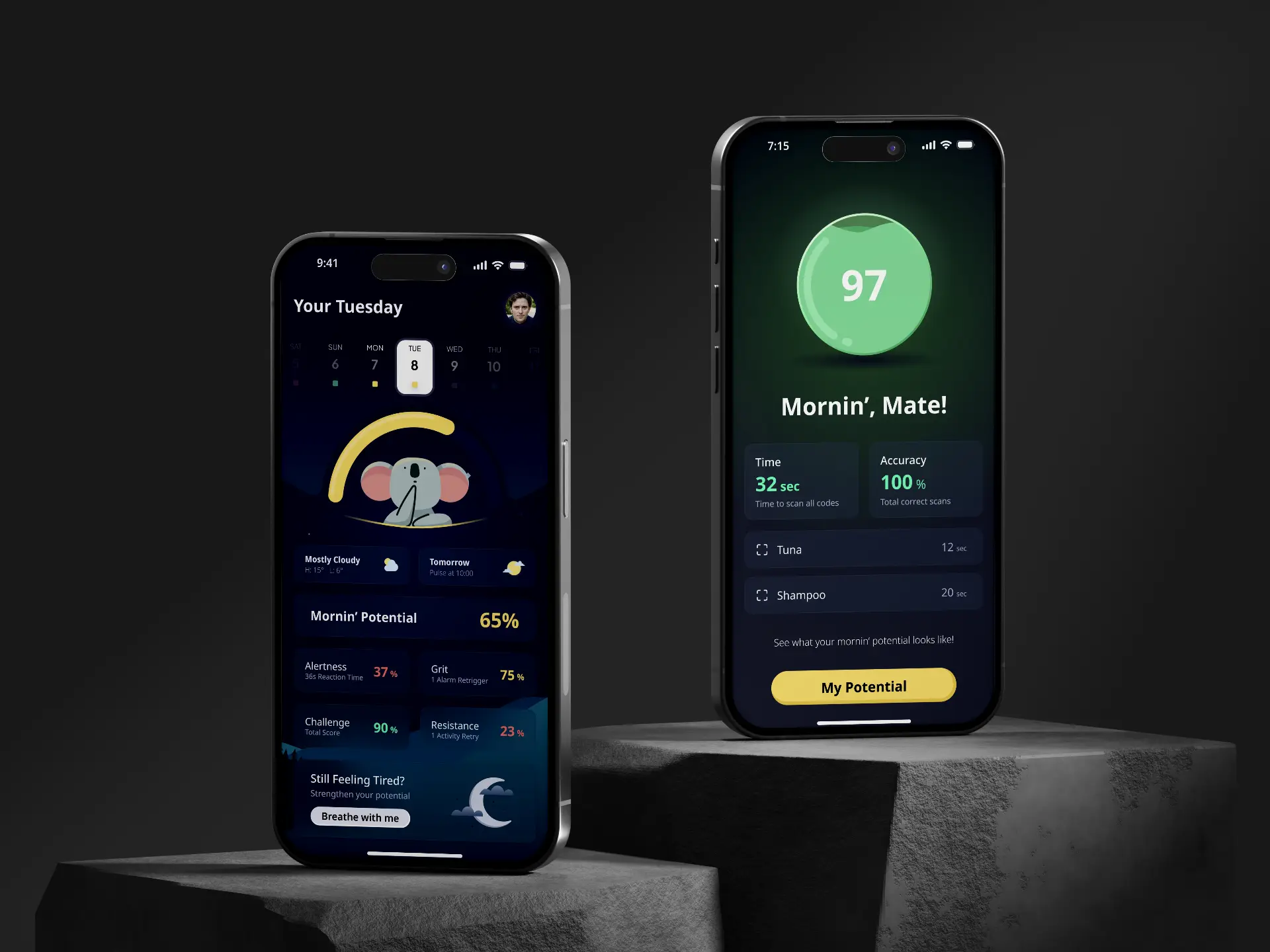 project preview image